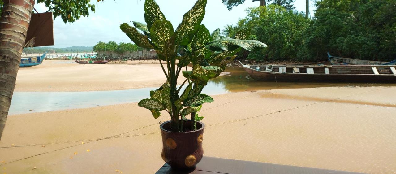 Scorpion Hill Lodge Busua Rum bild