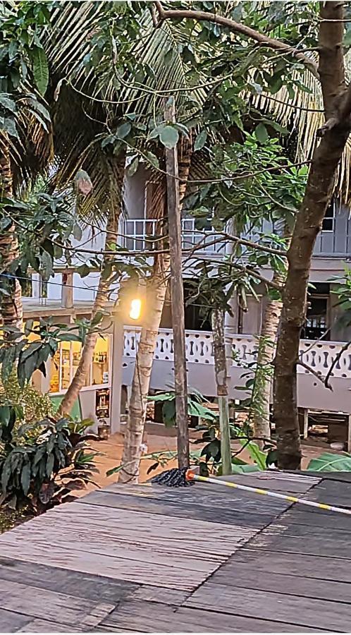 Scorpion Hill Lodge Busua Exteriör bild