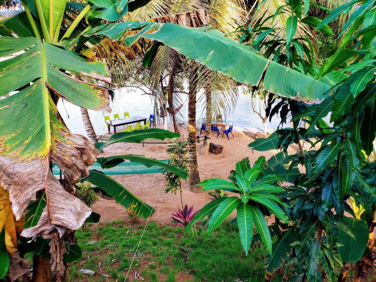 Scorpion Hill Lodge Busua Exteriör bild