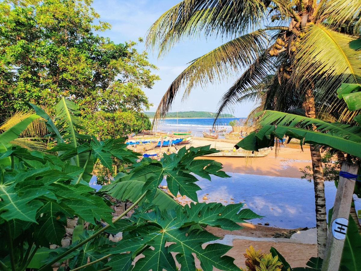 Scorpion Hill Lodge Busua Exteriör bild